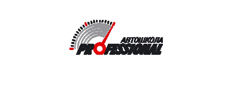 Авто-мотошкола Professional